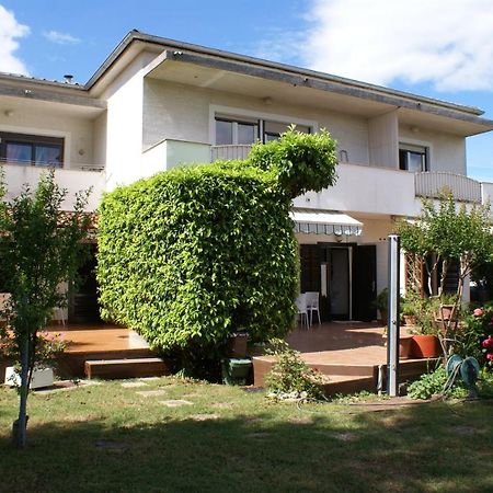 Apartments Dubravka 크르크 외부 사진